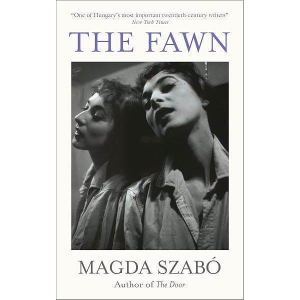 The Door: A hauntingly beautiful literary classic on female
